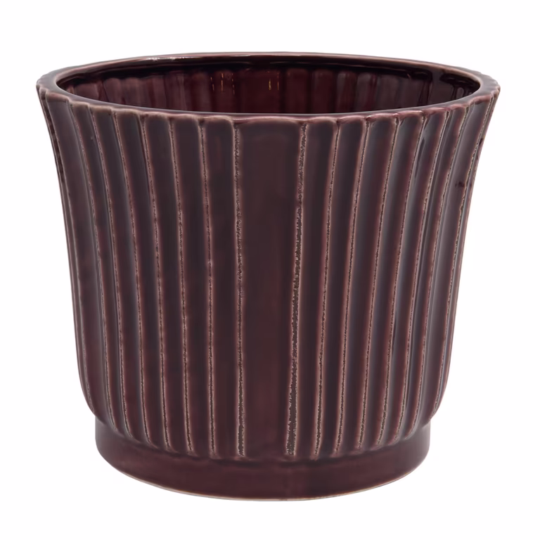 Pot Plum 