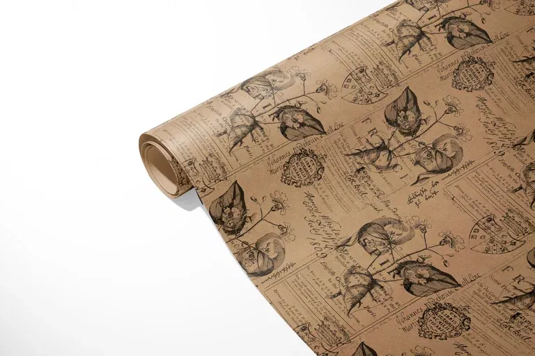 Gift wrapping Kraft Botanic 