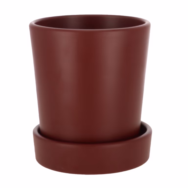 Pot Amy 