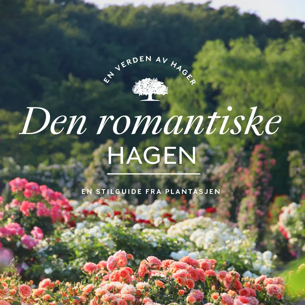 Up to 40% off all perennials in returnable pots