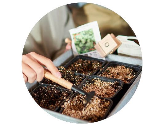 Image of Christmas lights 40%