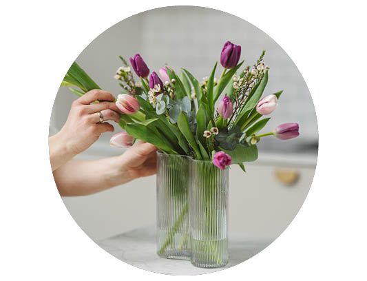 Image of Christmas trees 30%