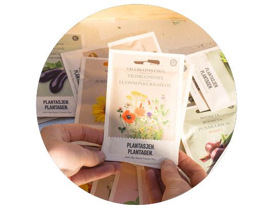 Image of Christmas trees 30%