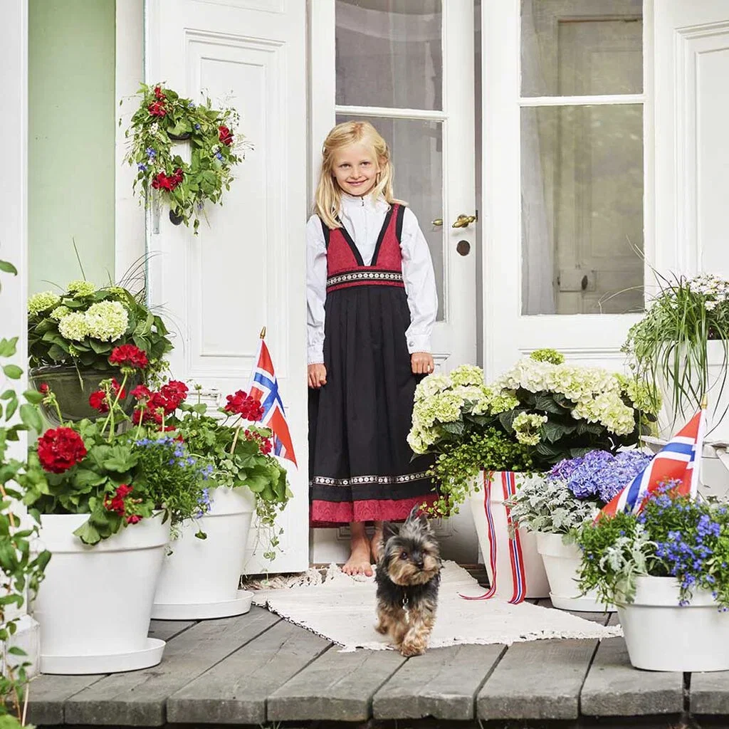 Celebrate 17th of May with colorful flowers