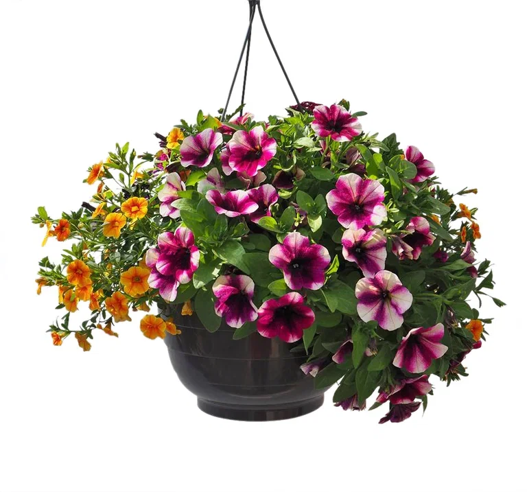 Romantic G. h. basket 27 cm