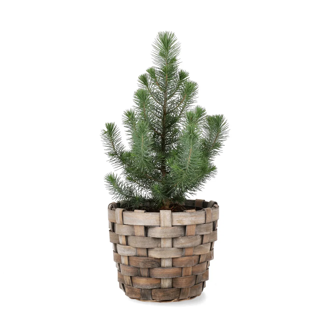 Basket wood  D21 H17 grey