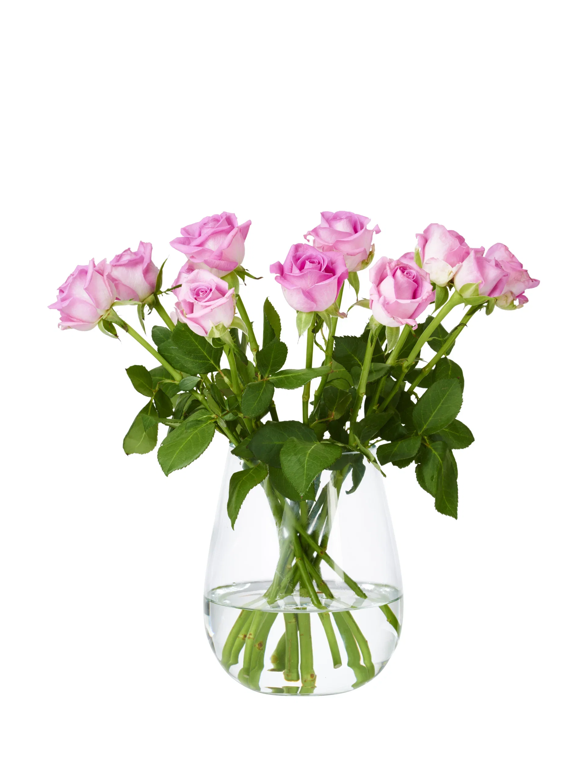 Wilma vase H19 tranparent