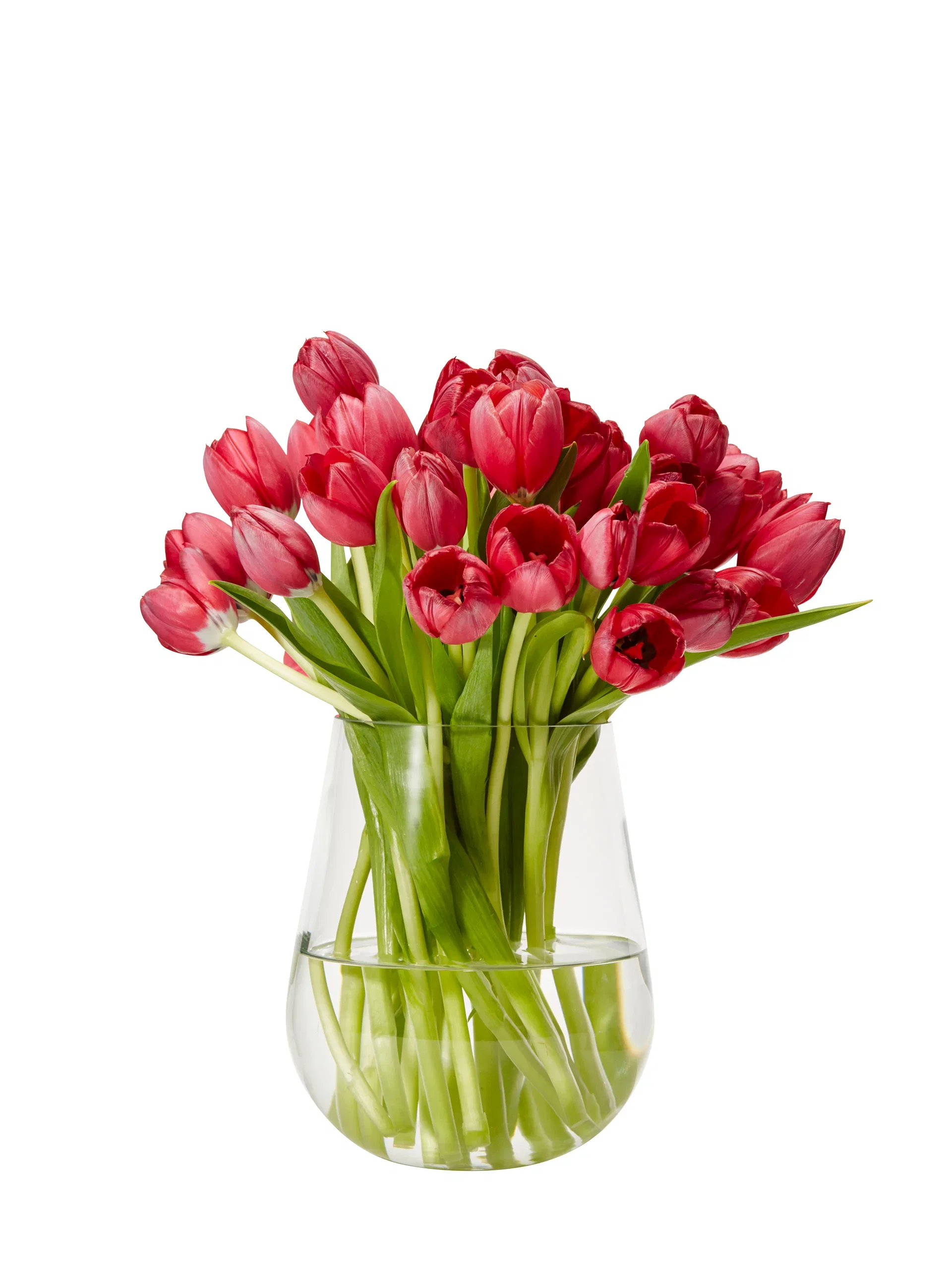 Wilma vase H19 tranparent