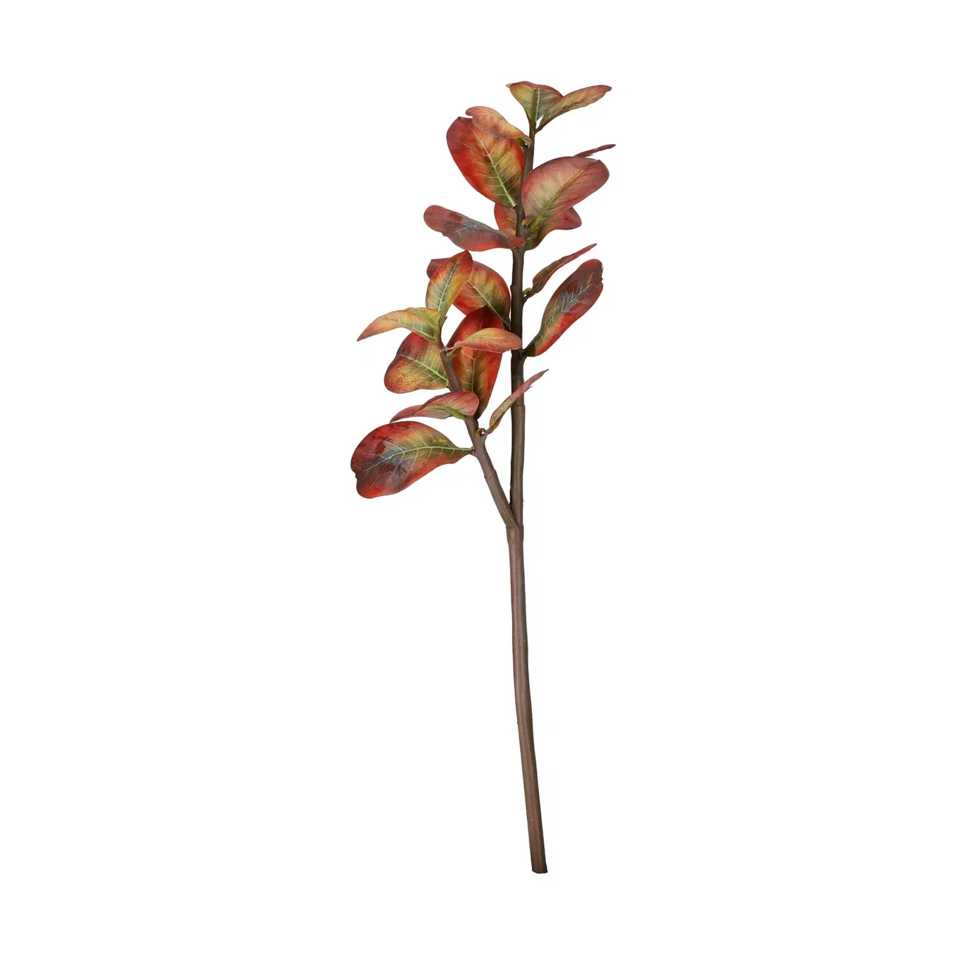 Leaf branch H52 red