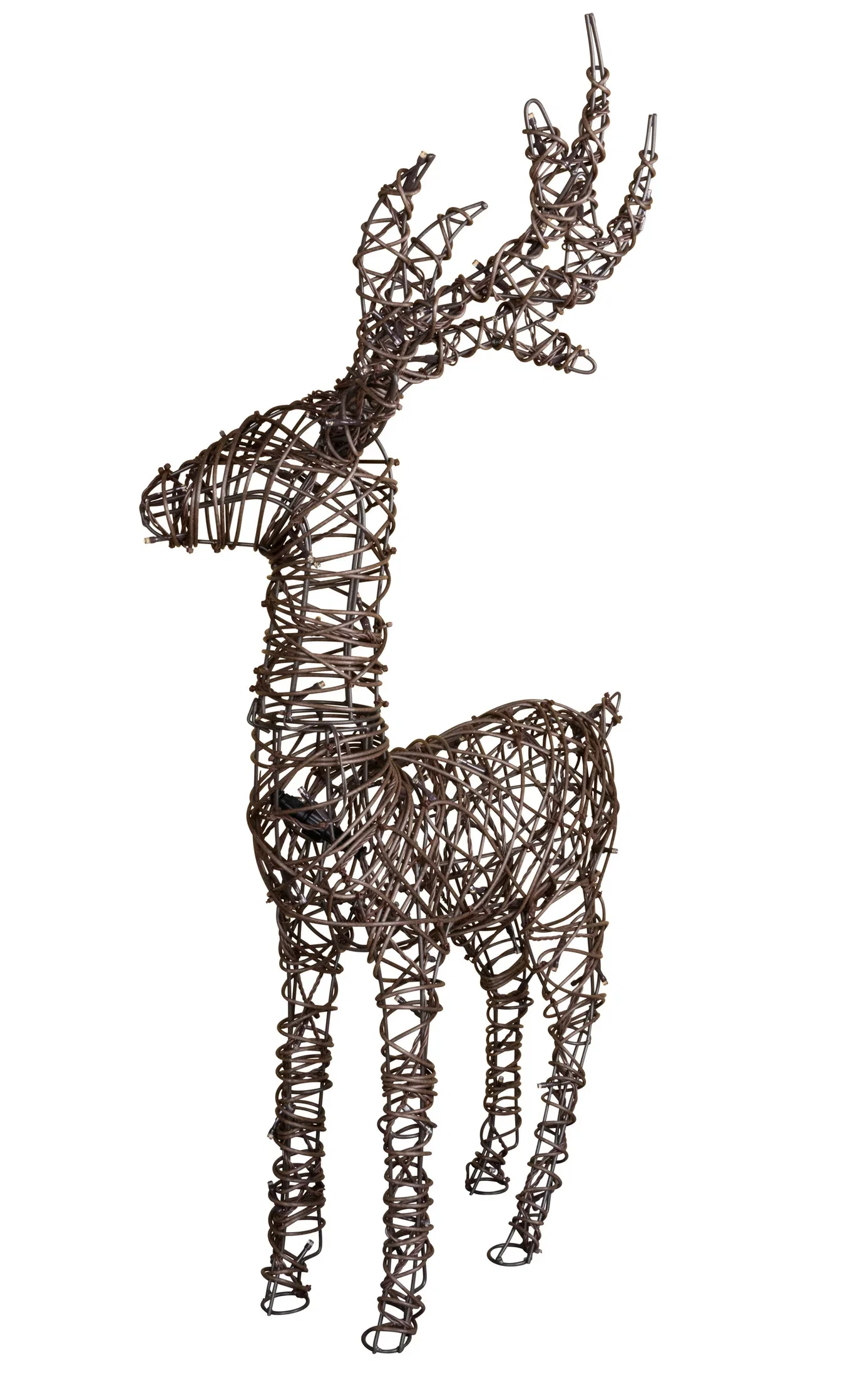 Reindeer with Lights