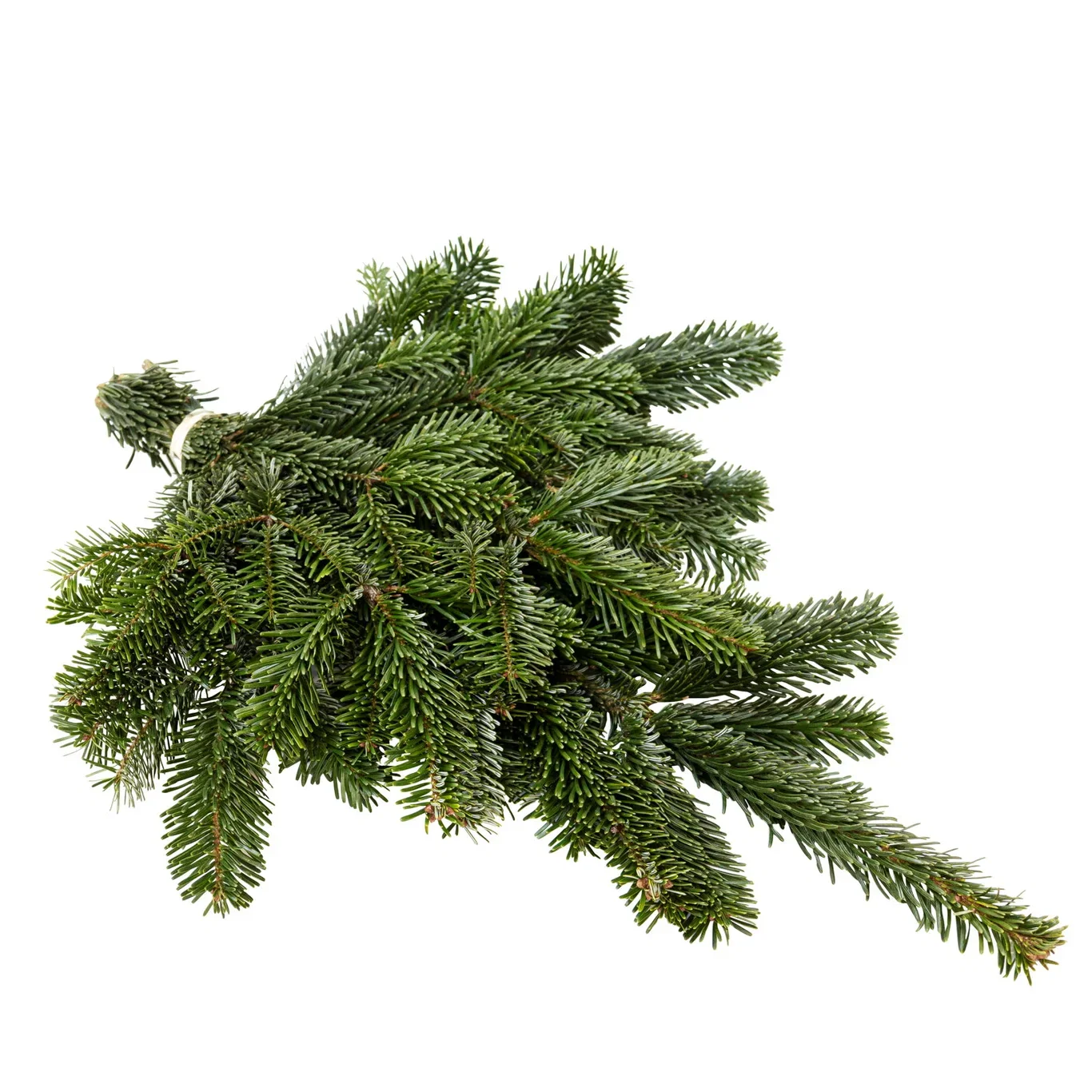 Nordmann handbouquet 400-500 gr.