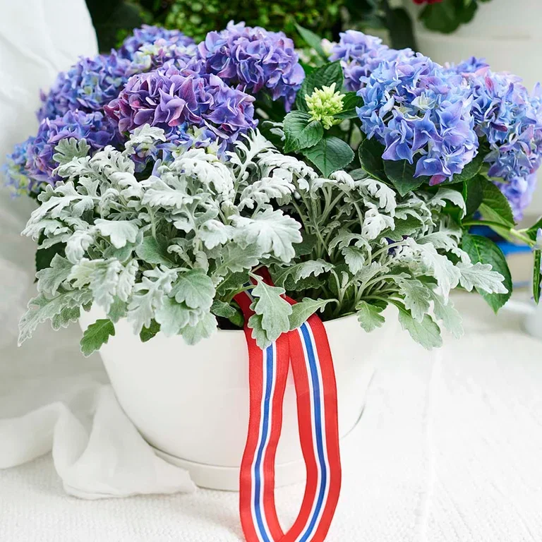 Celebrate 17th of May with colorful flowers