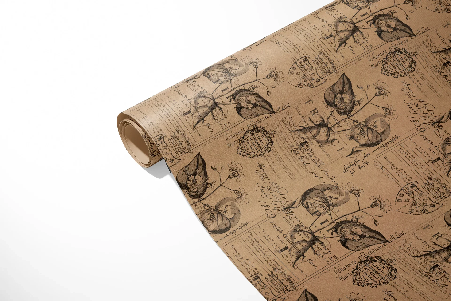 Gift wrapping Kraft Botanic 