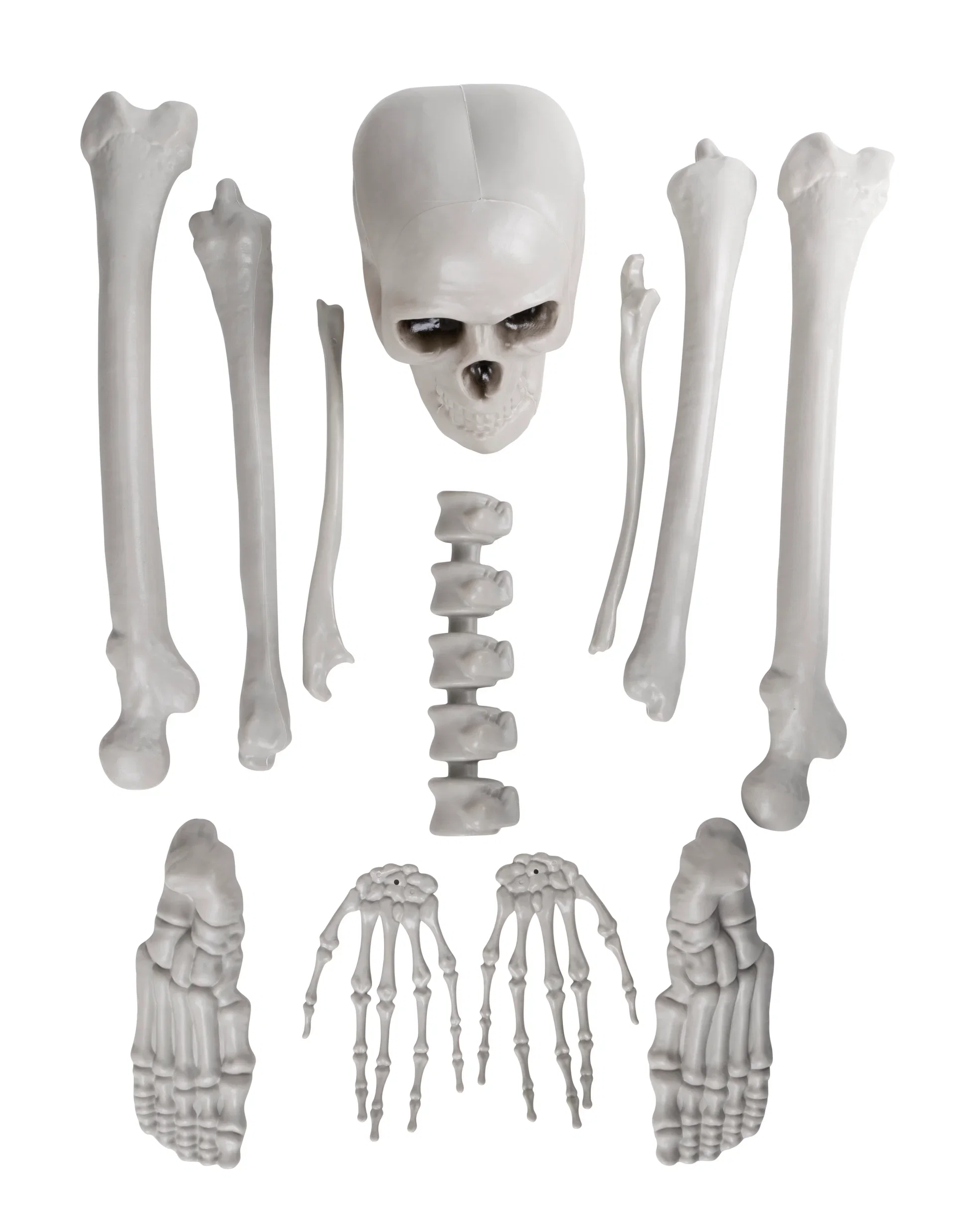 Skeleton parts H160 