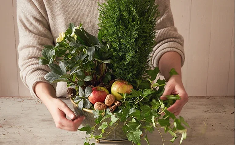 Create Your Own Christmas Arrangement