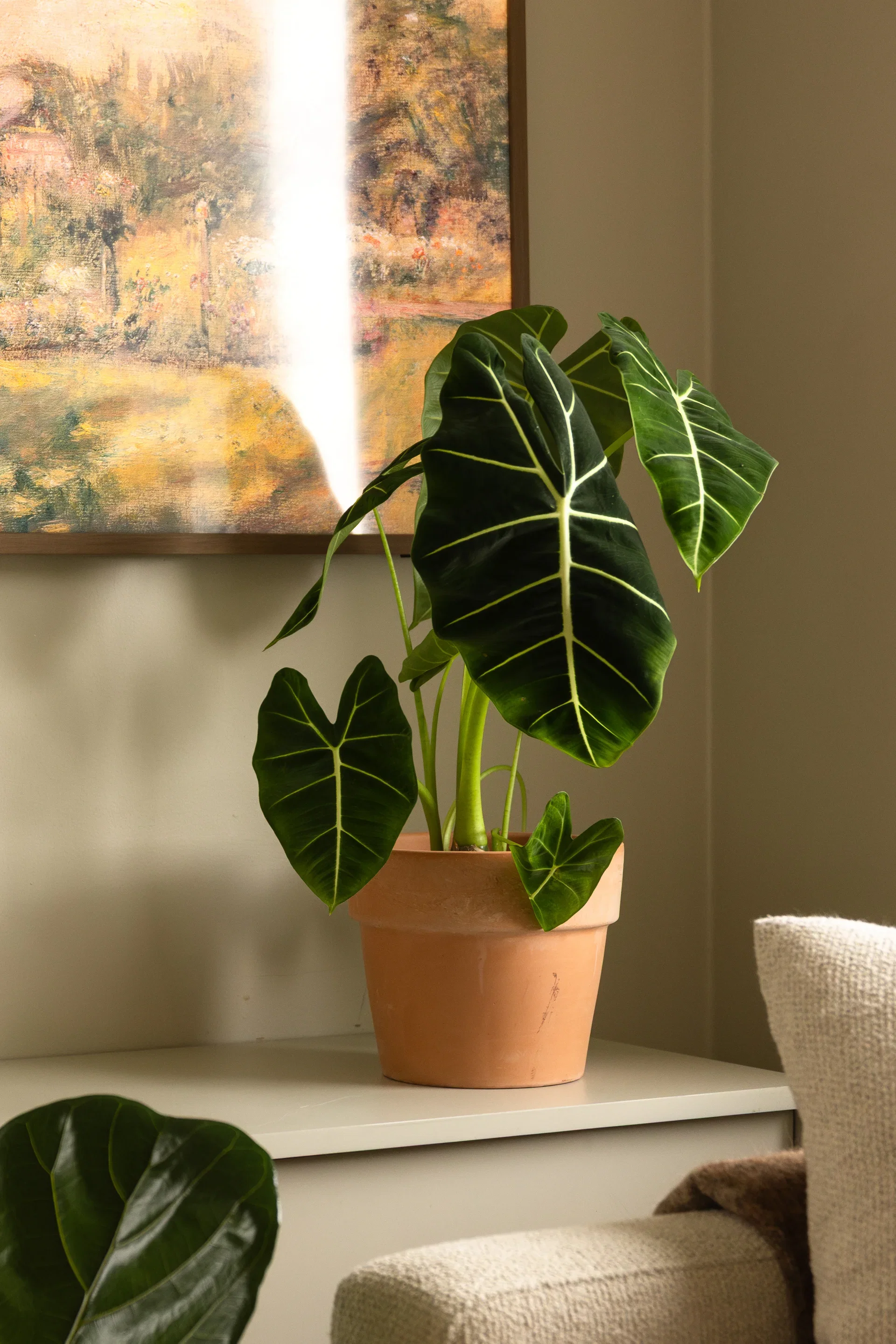 Aromi pot D22 terracotta