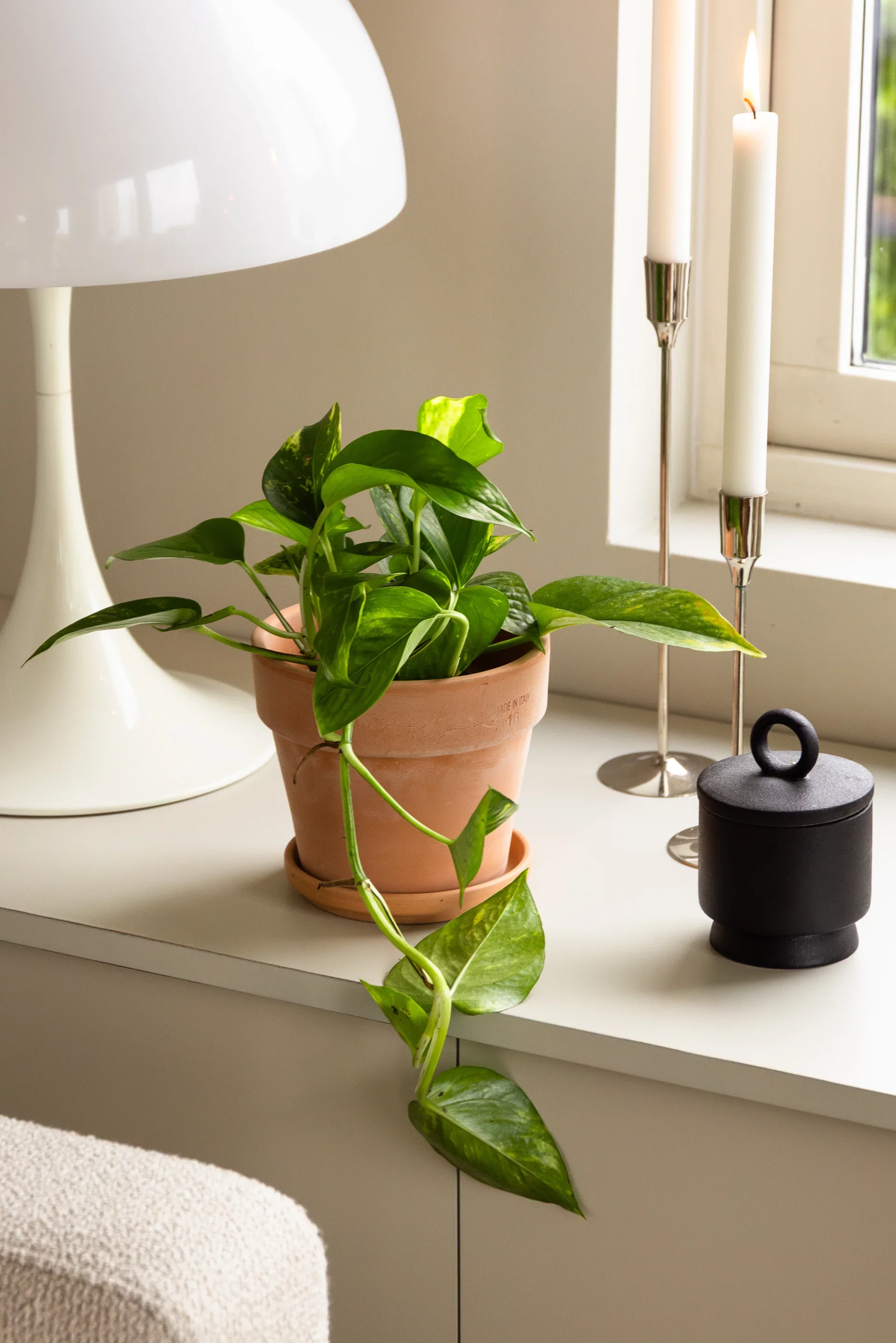 Aromi pot D14 terracotta