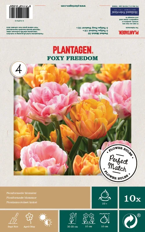 Tulip Mix Foxy Freedom - 10 bulbs