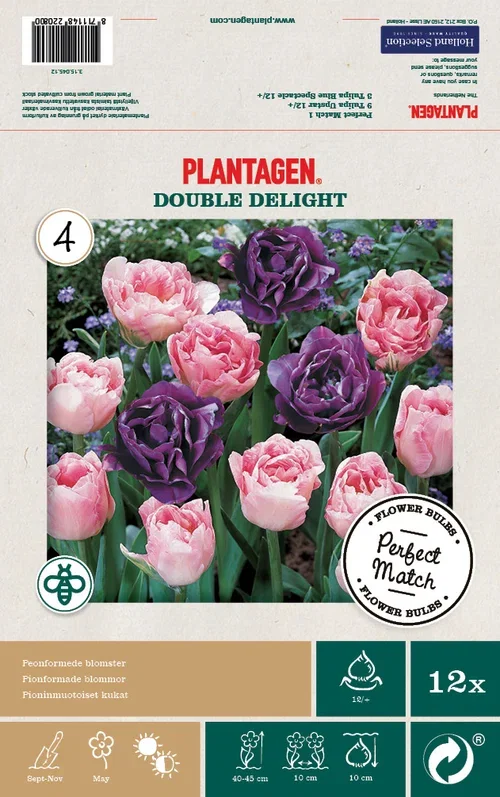 Tulip mix Double Delight - 12 bulbs
