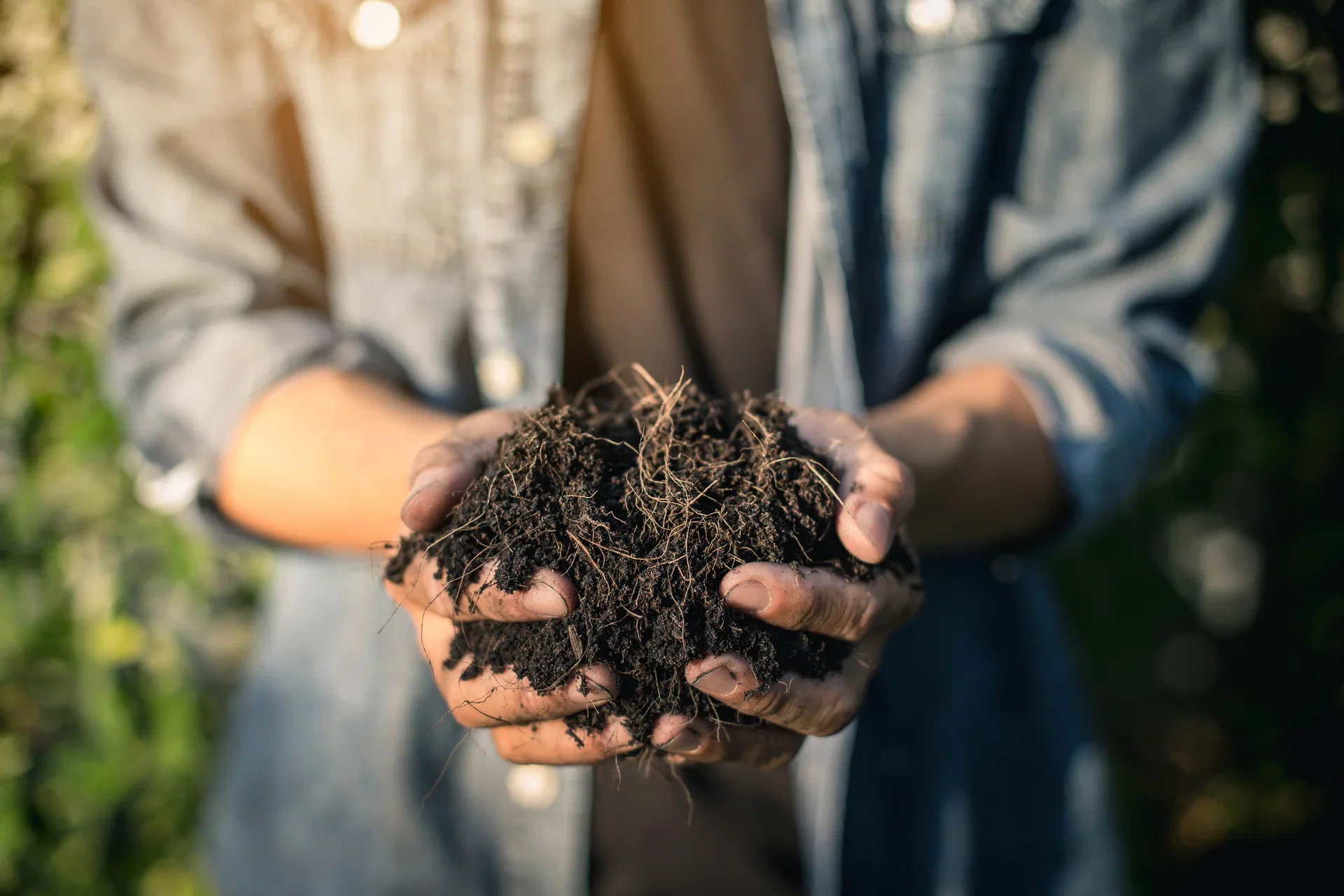 Make your own soil and mulch from autumn leaves and grass clippings