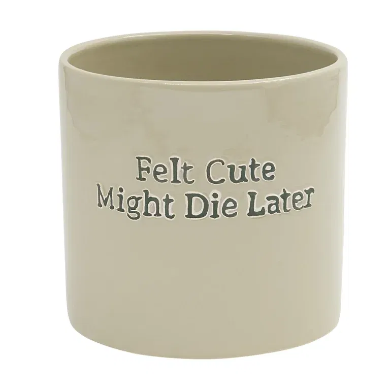 Pot Felt Cute Might Die Later