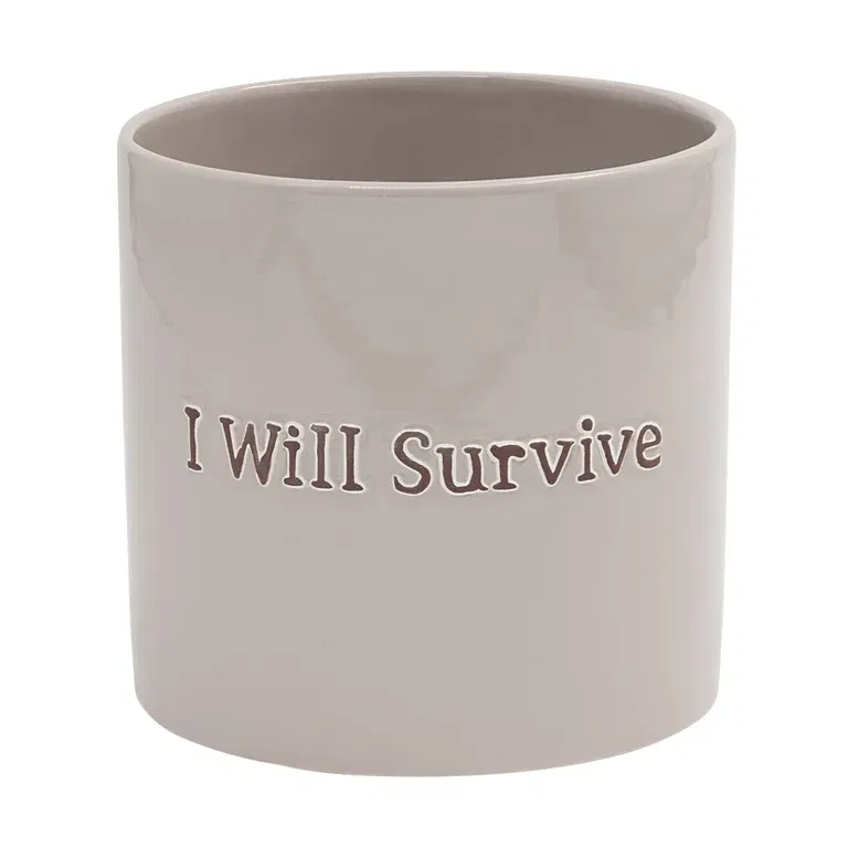 Pot I Will Survive