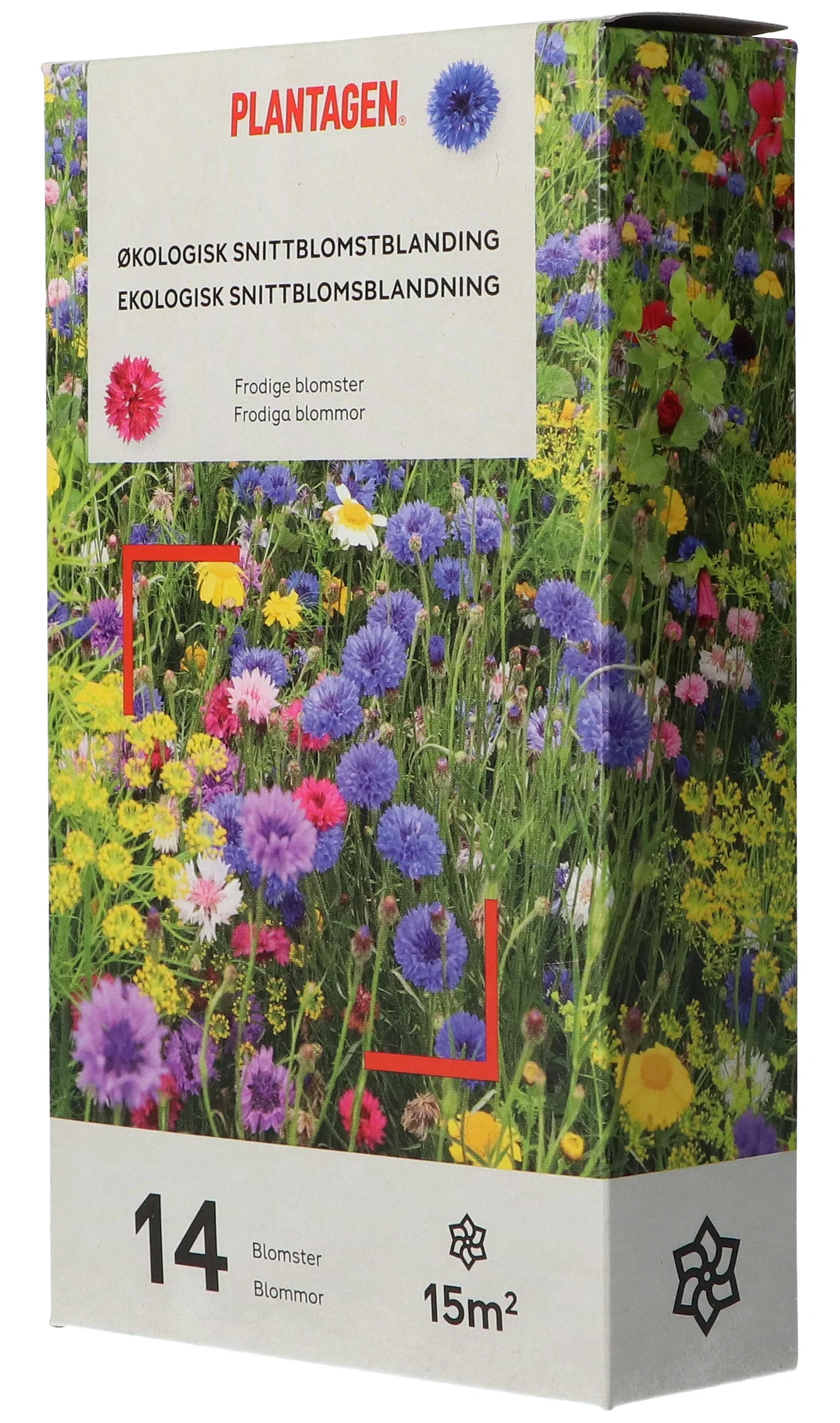 Ecological Cut Flowers Mix