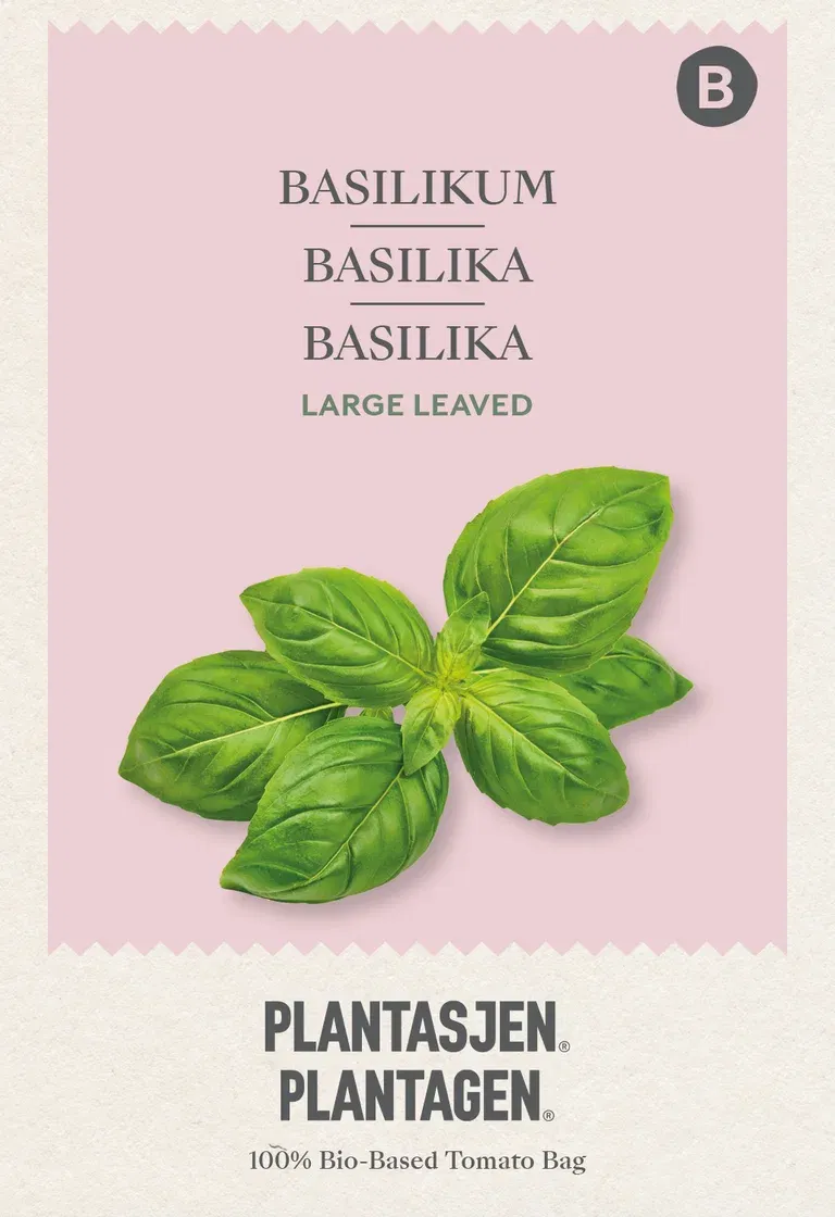 Large Sweet Basil - 0.25 g