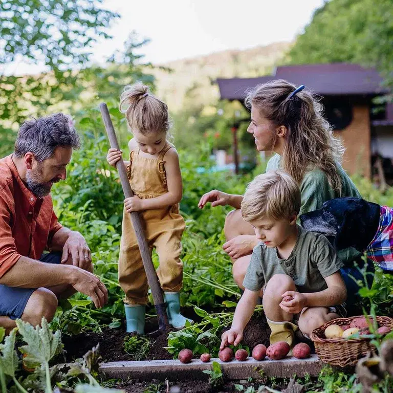 Kom i gang med beredskapsdyrking