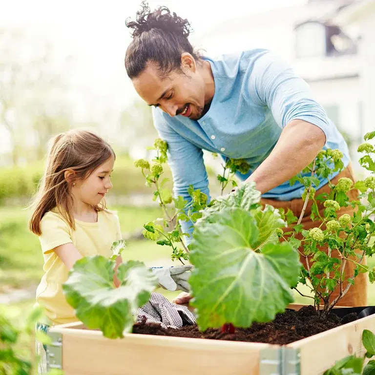 How many plants can you fit in a planter box?