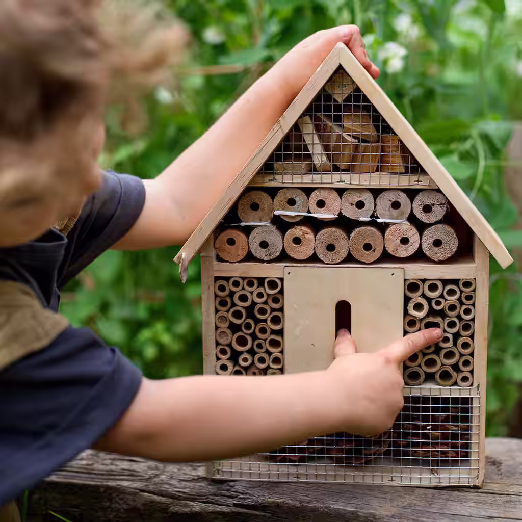 Build your own insect hotel – in seven easy steps