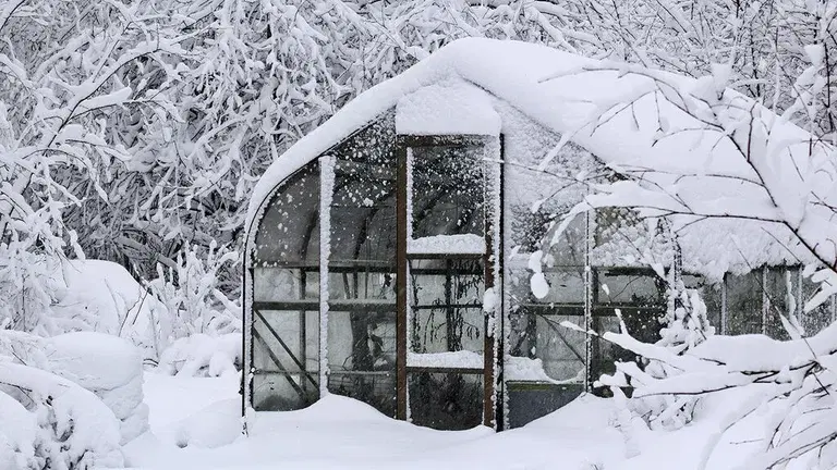 February - What you can sow and grow