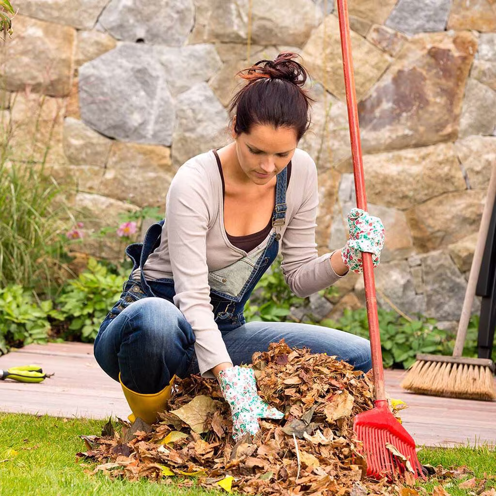 Spring cleaning in the garden