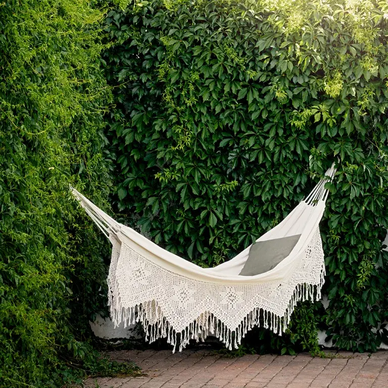 Velge hekk – forskjellige typer hekk og hva de passer til