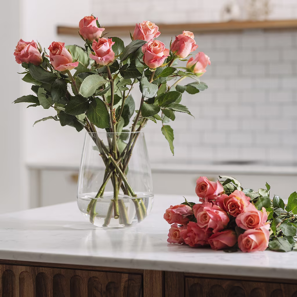Plantasjen's roses – from production to store