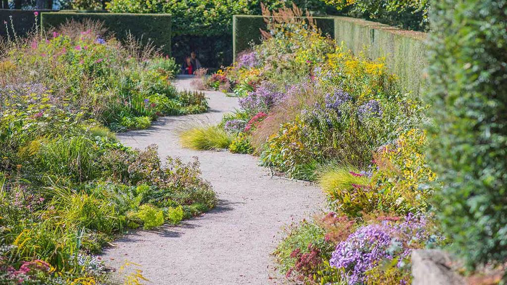 6 tips for an environmentally friendly garden