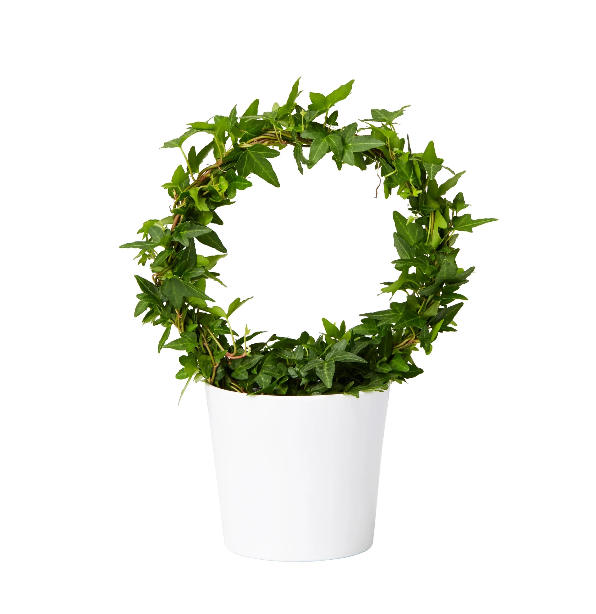 Harmoni pot D12,5 white