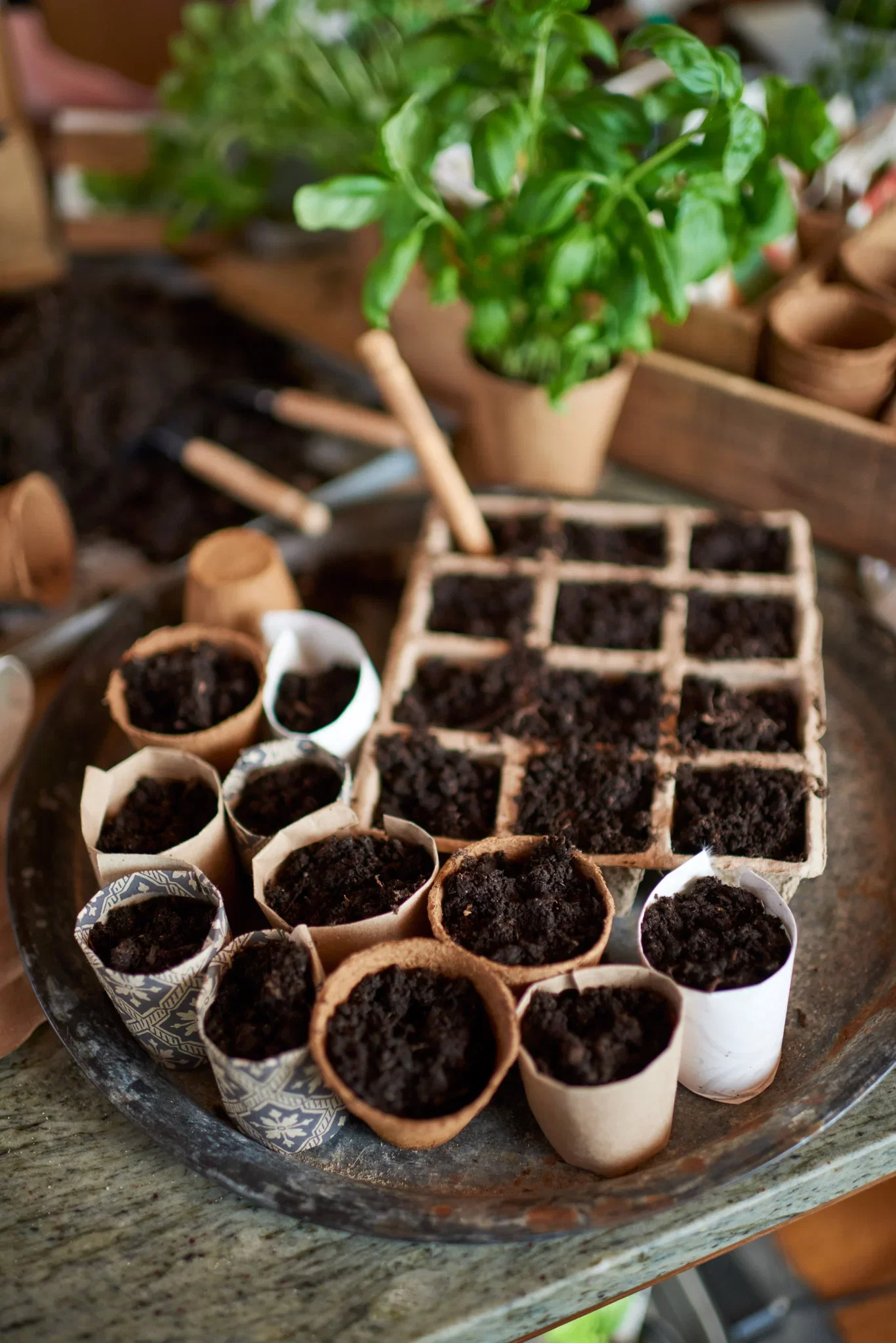 Square Fibre Pot 12 Cell