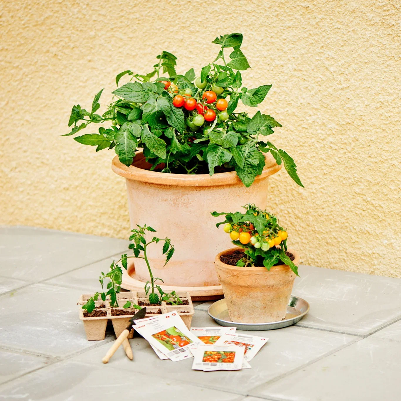 Square Fibre Pot 12 Cell