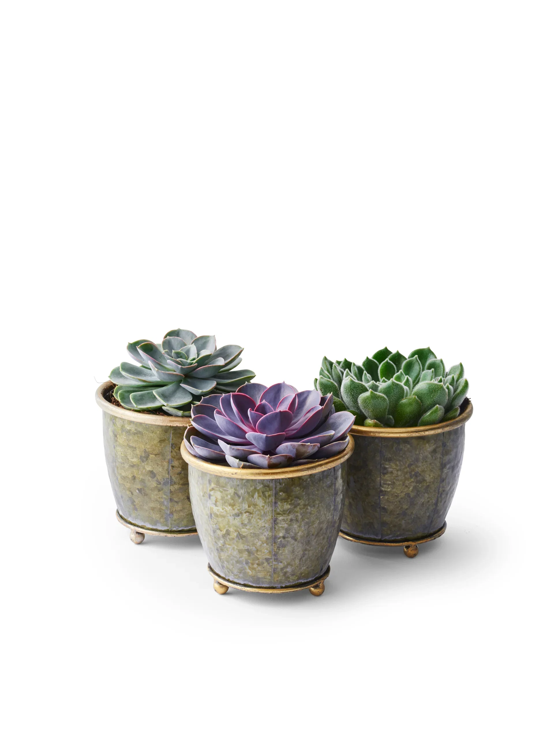 Jessie pot D14,5 green