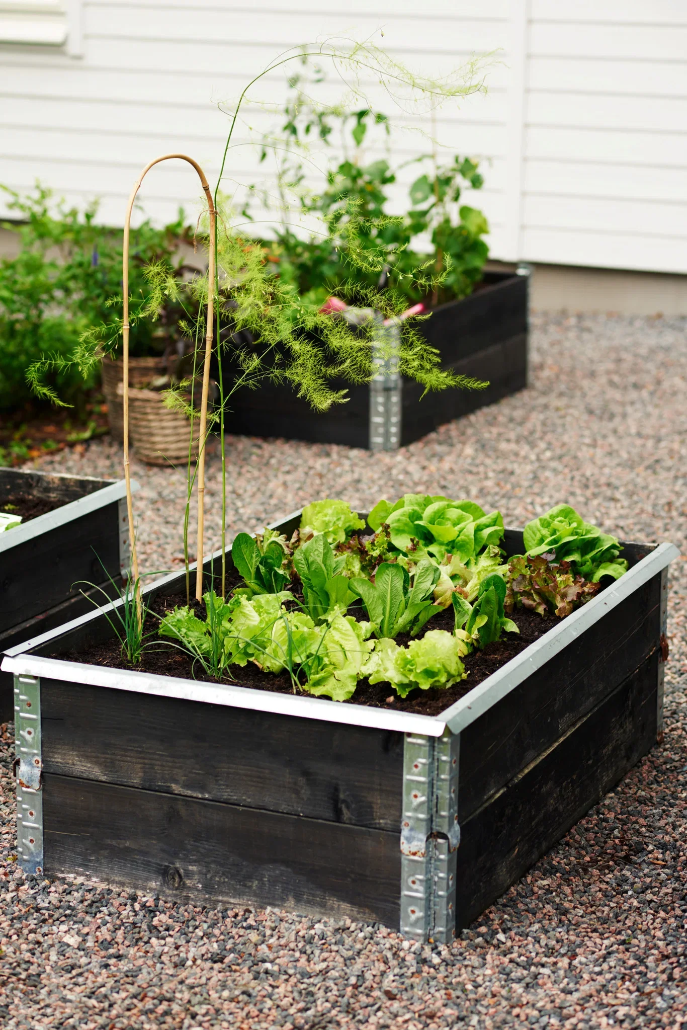 Snail Stopper for Pallet Collar Small