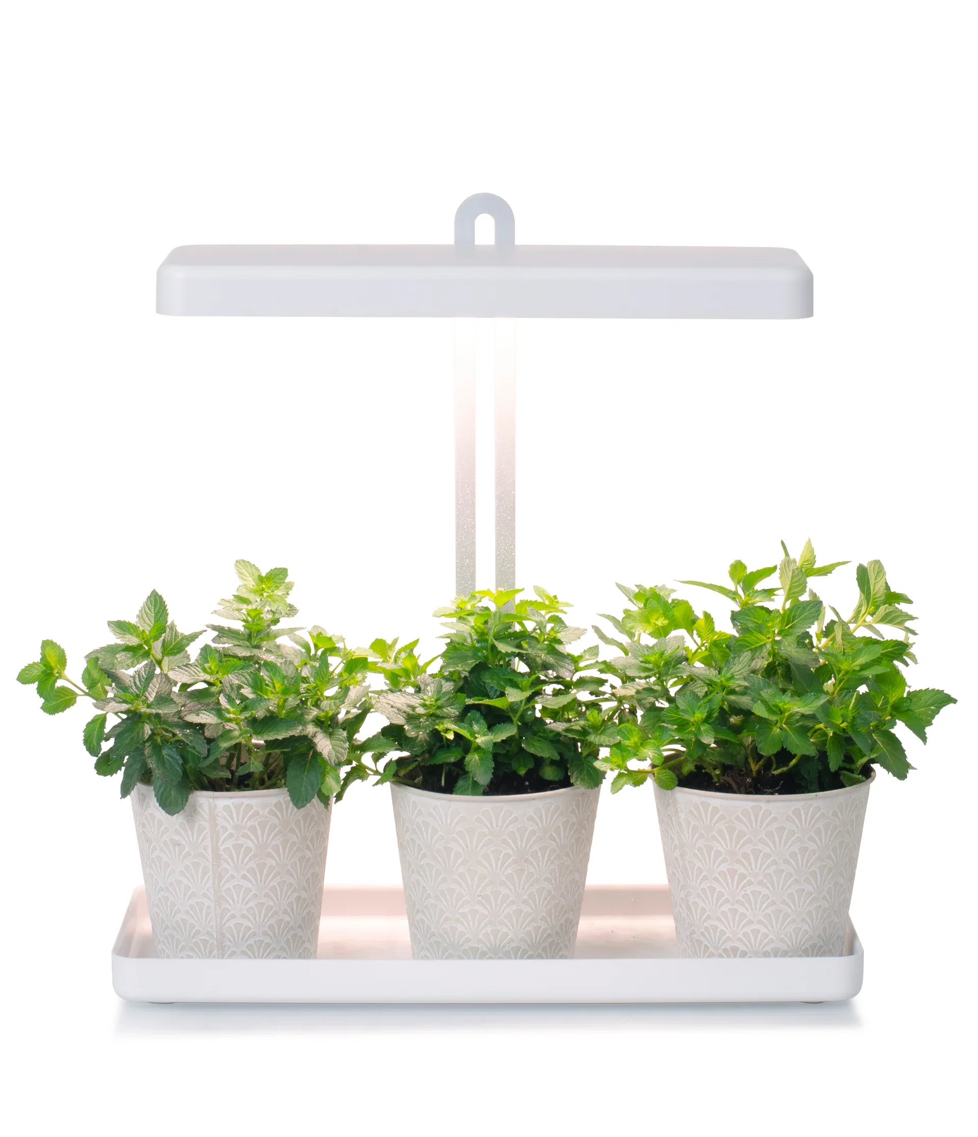 "Gro" Table grow light