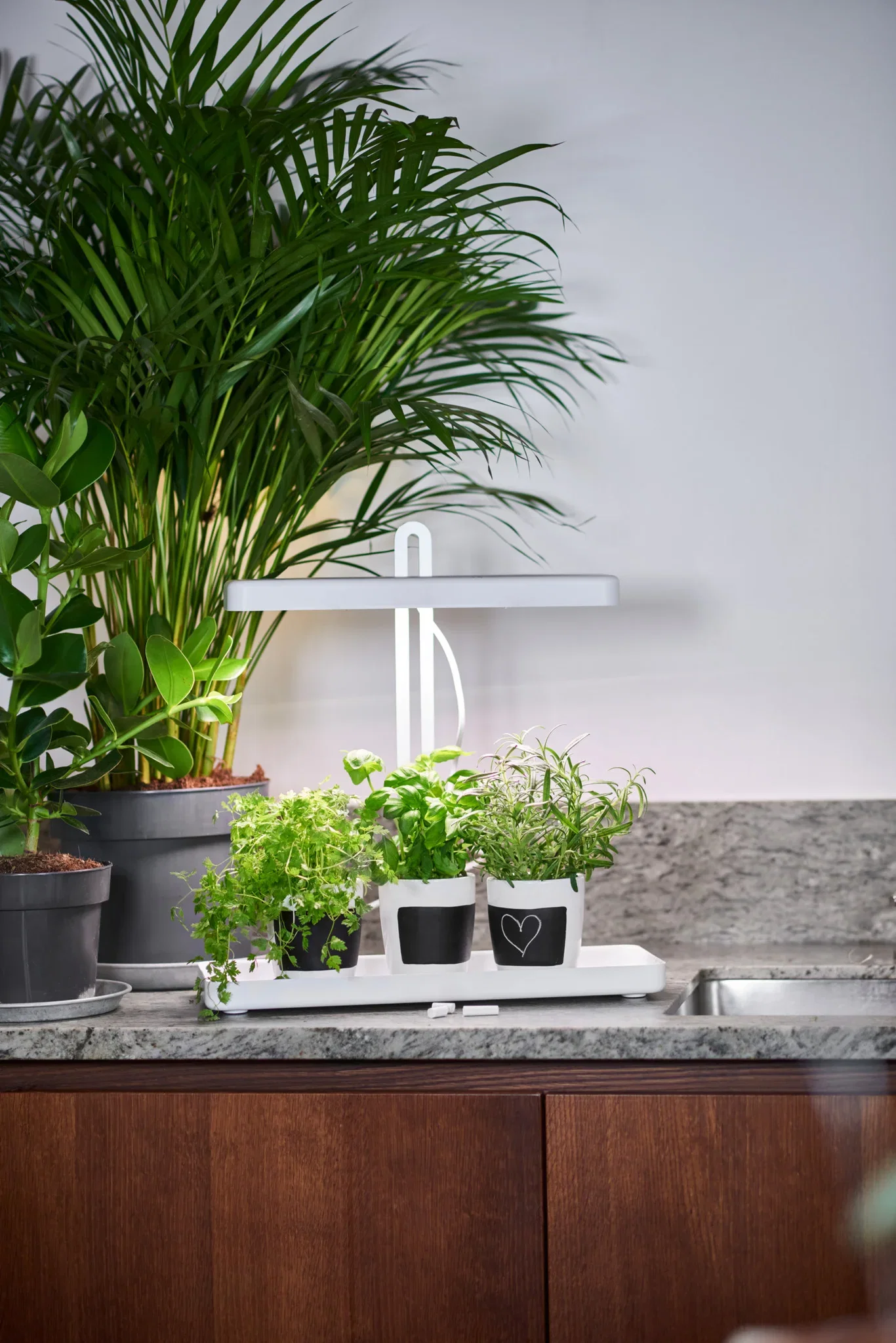 "Gro" Table grow light