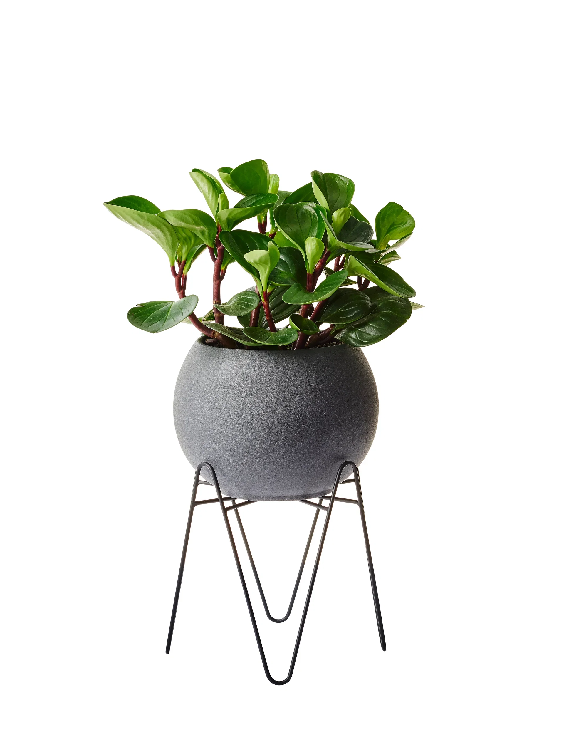 Wilmer pedestal H20 black