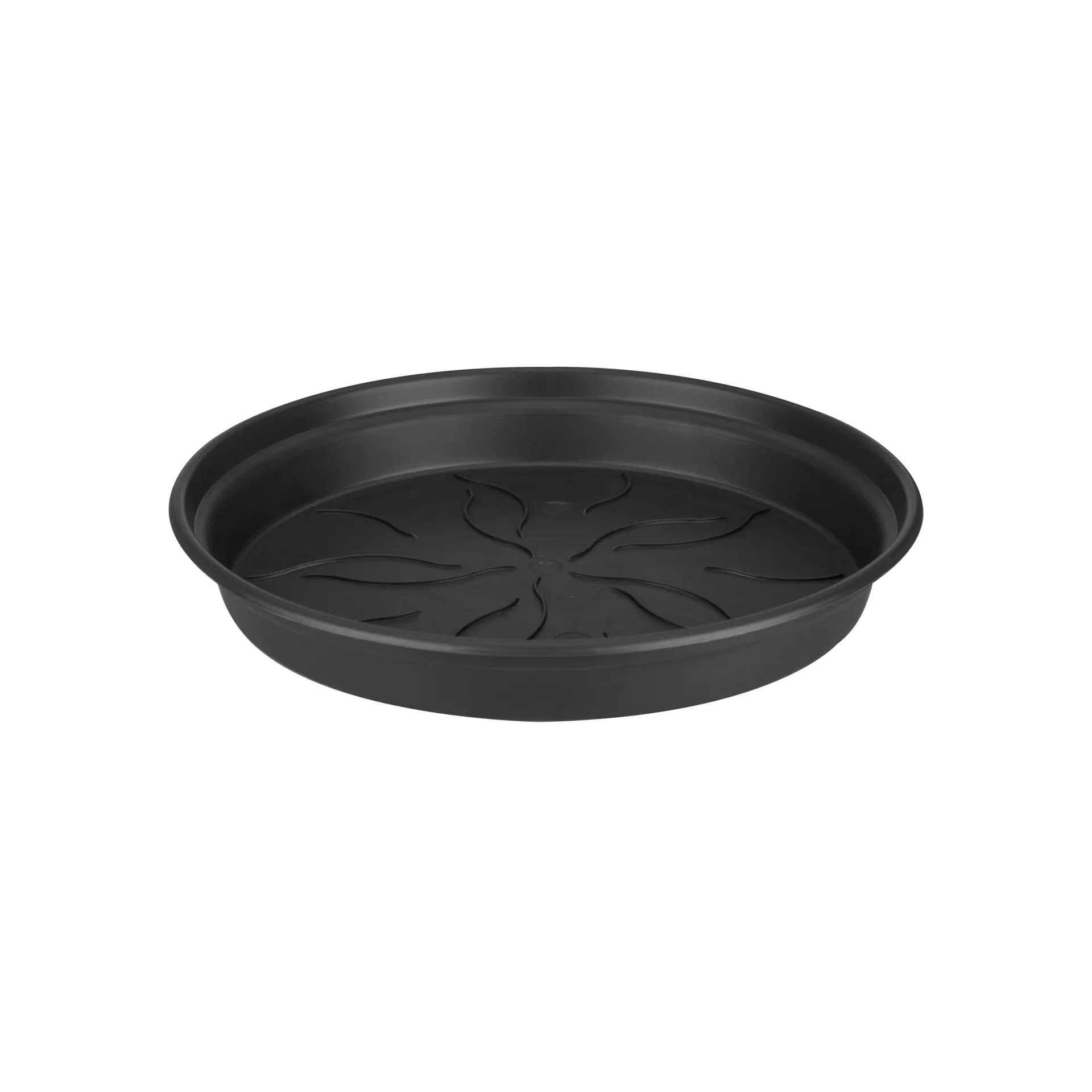 Green basics saucer D22 black