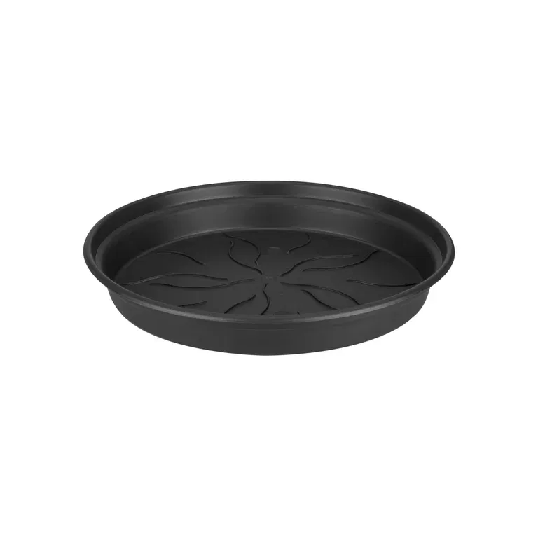 Green basics saucer D22 black