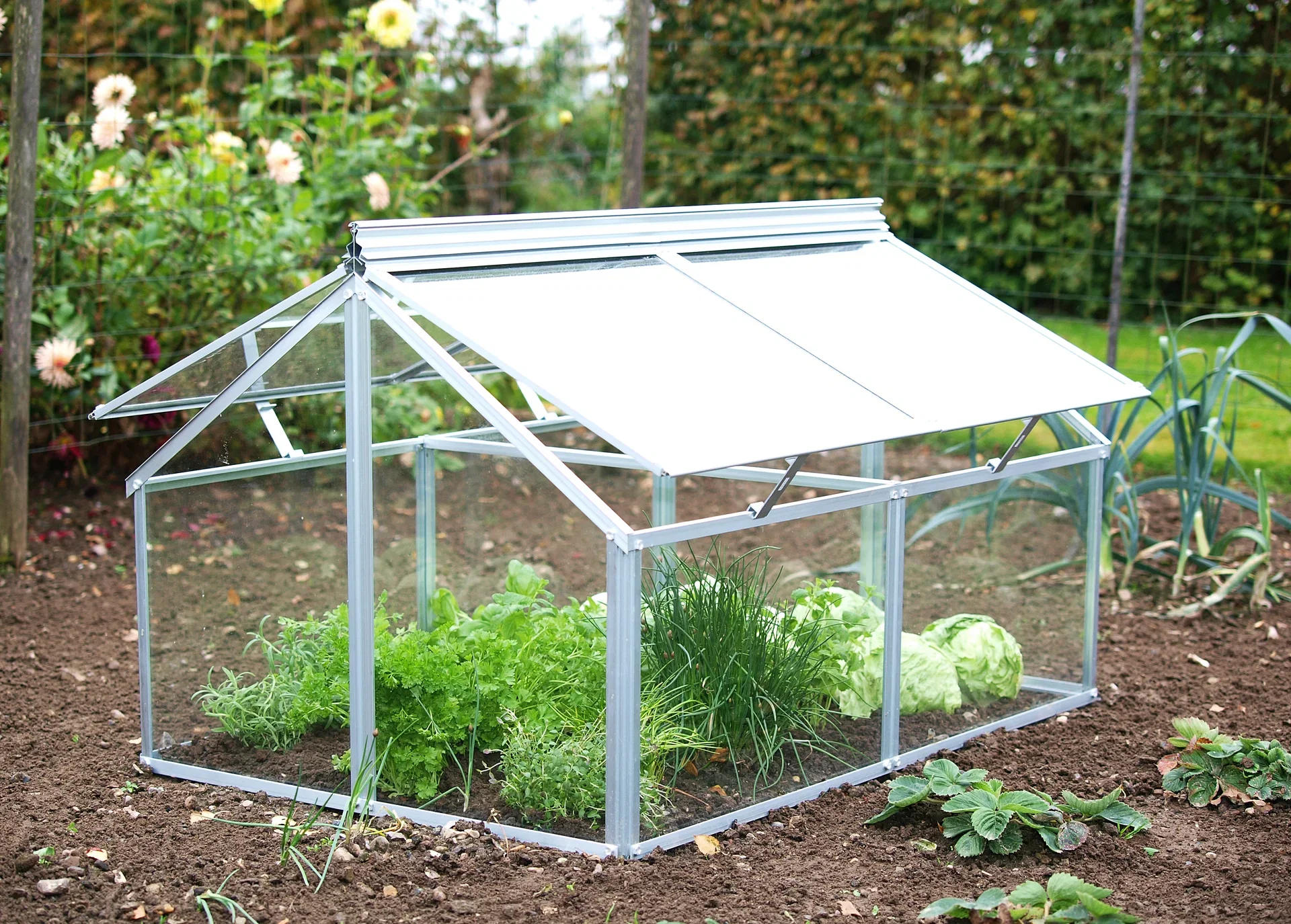 GAIA PALLET COLLAR GREENHOUSE