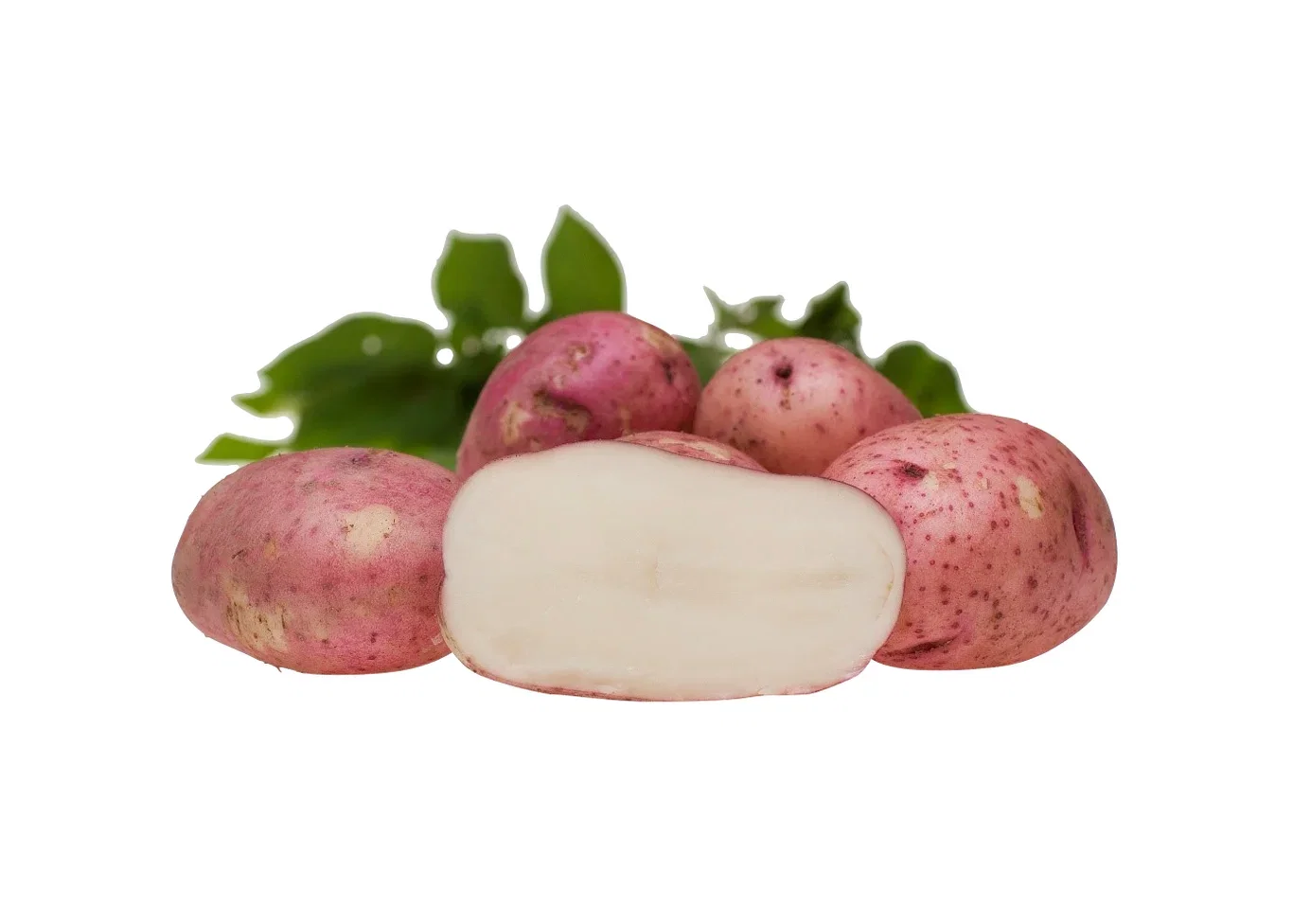 Potato Beate 2,5 Kg