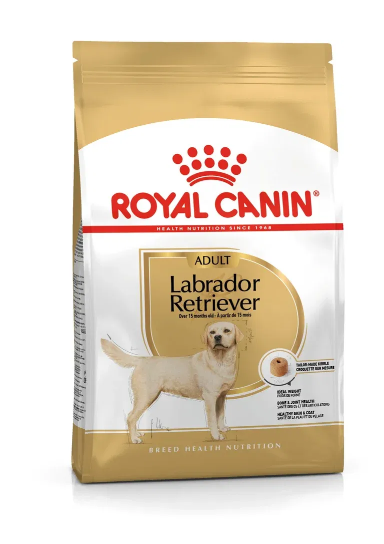 Royal Canin Labrador retriever Adult