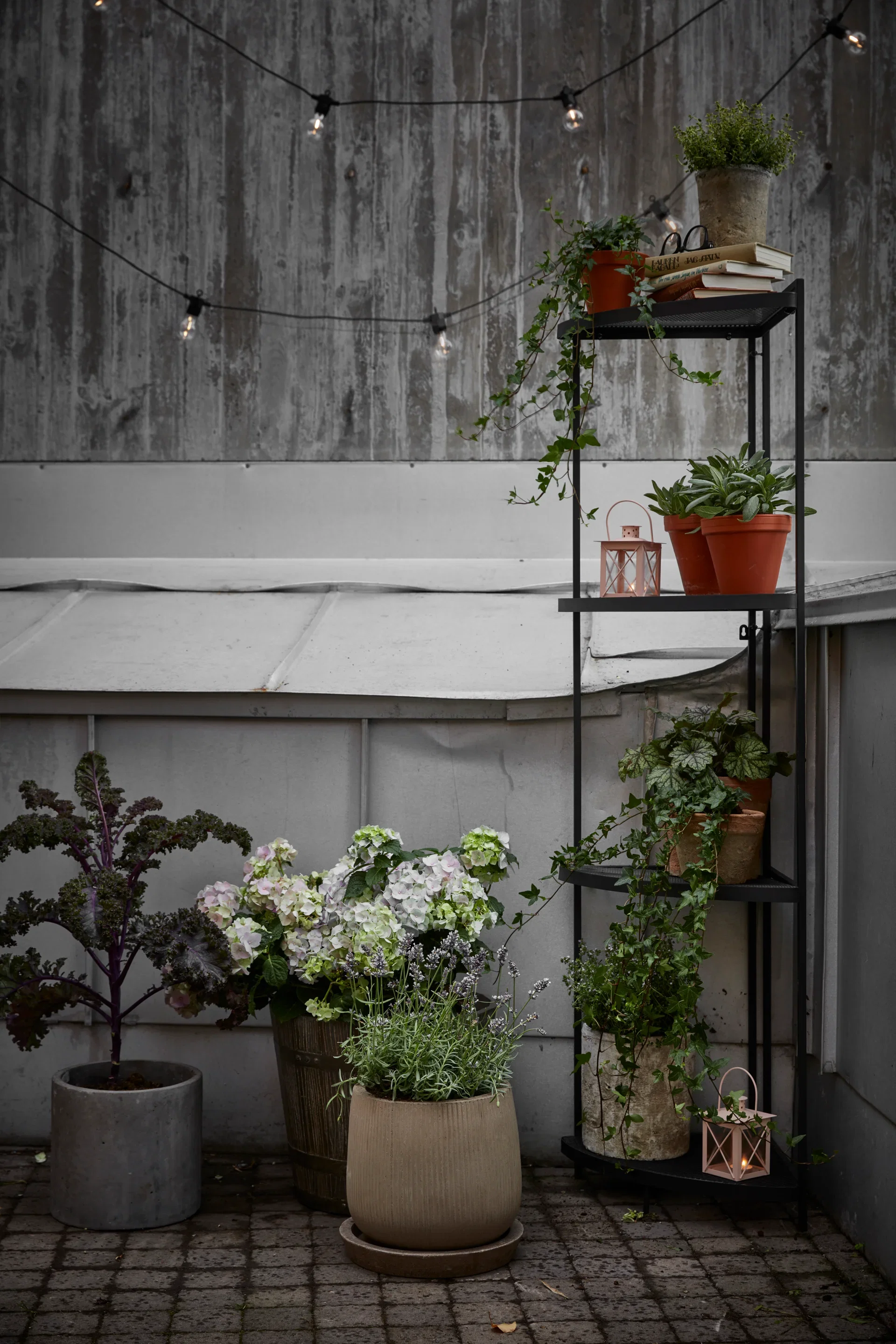 Plant pot D20 terracotta